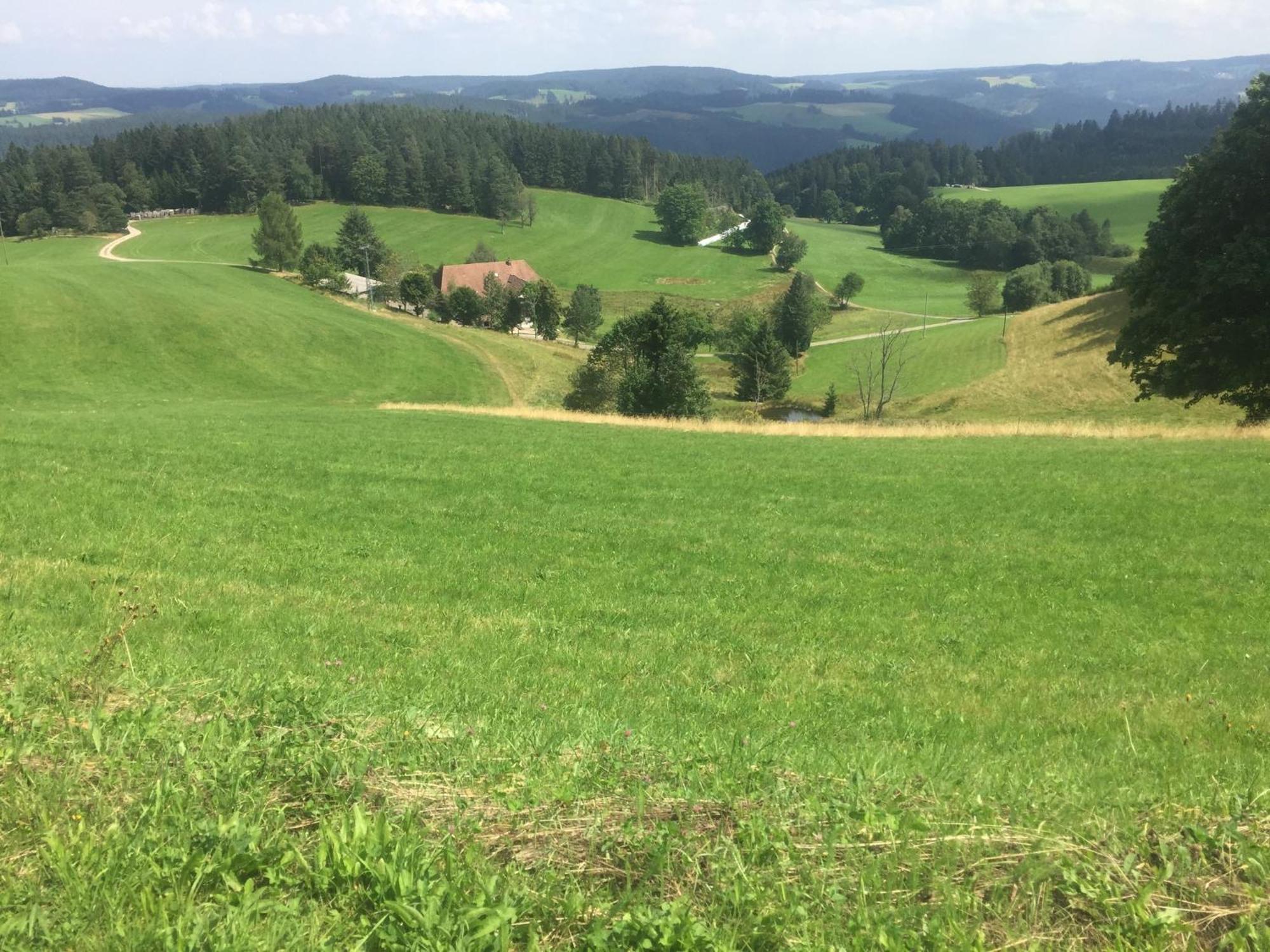 Im Salzgassle Apartment Schonach im Schwarzwald Exterior photo